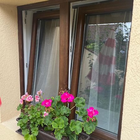 Kerti Franciaagyas Apartman Vác Eksteriør billede